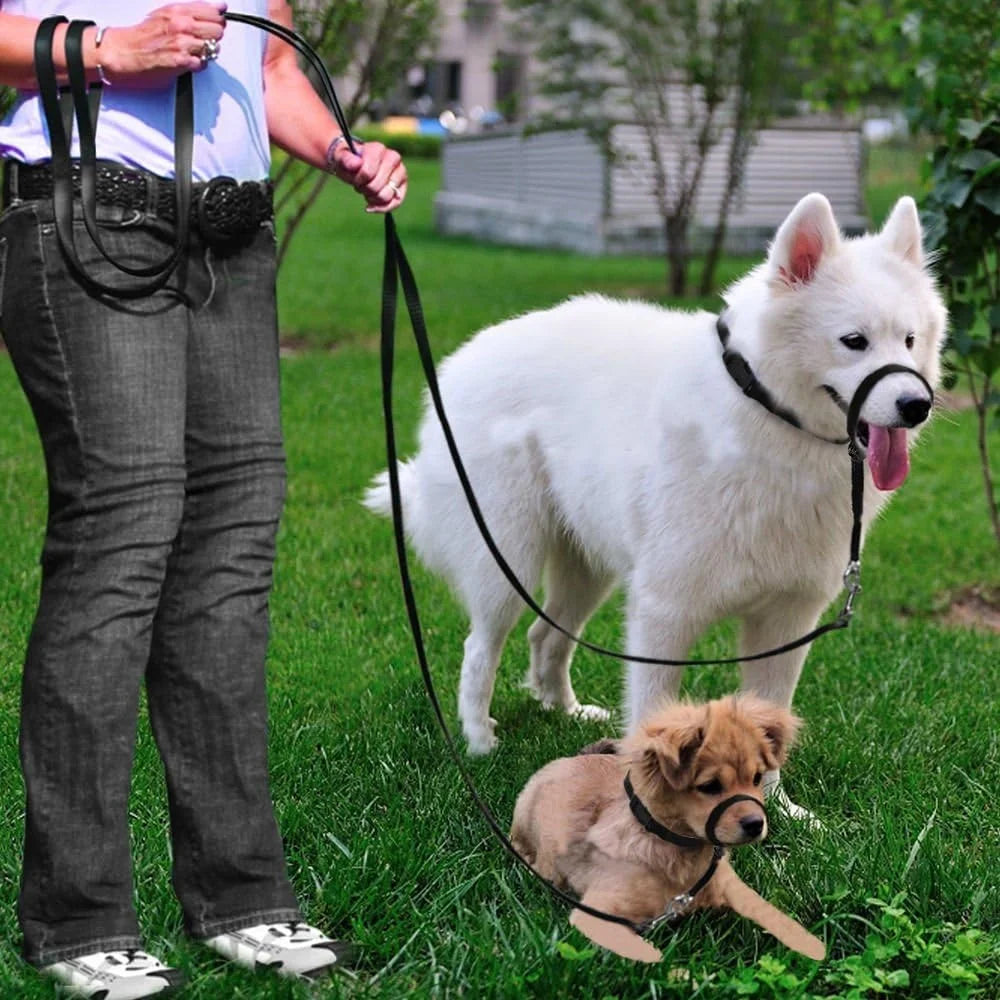 Adjustable Dog Head Collar – Gentle Head Halter for Pull Control with Leash & Training Guide