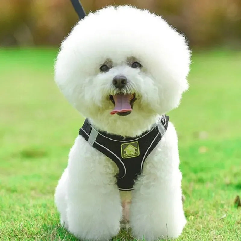 Reflective Pet Harness and Leash Set – No Pull Dog Vest with Breathable Mesh for Dogs & Cats