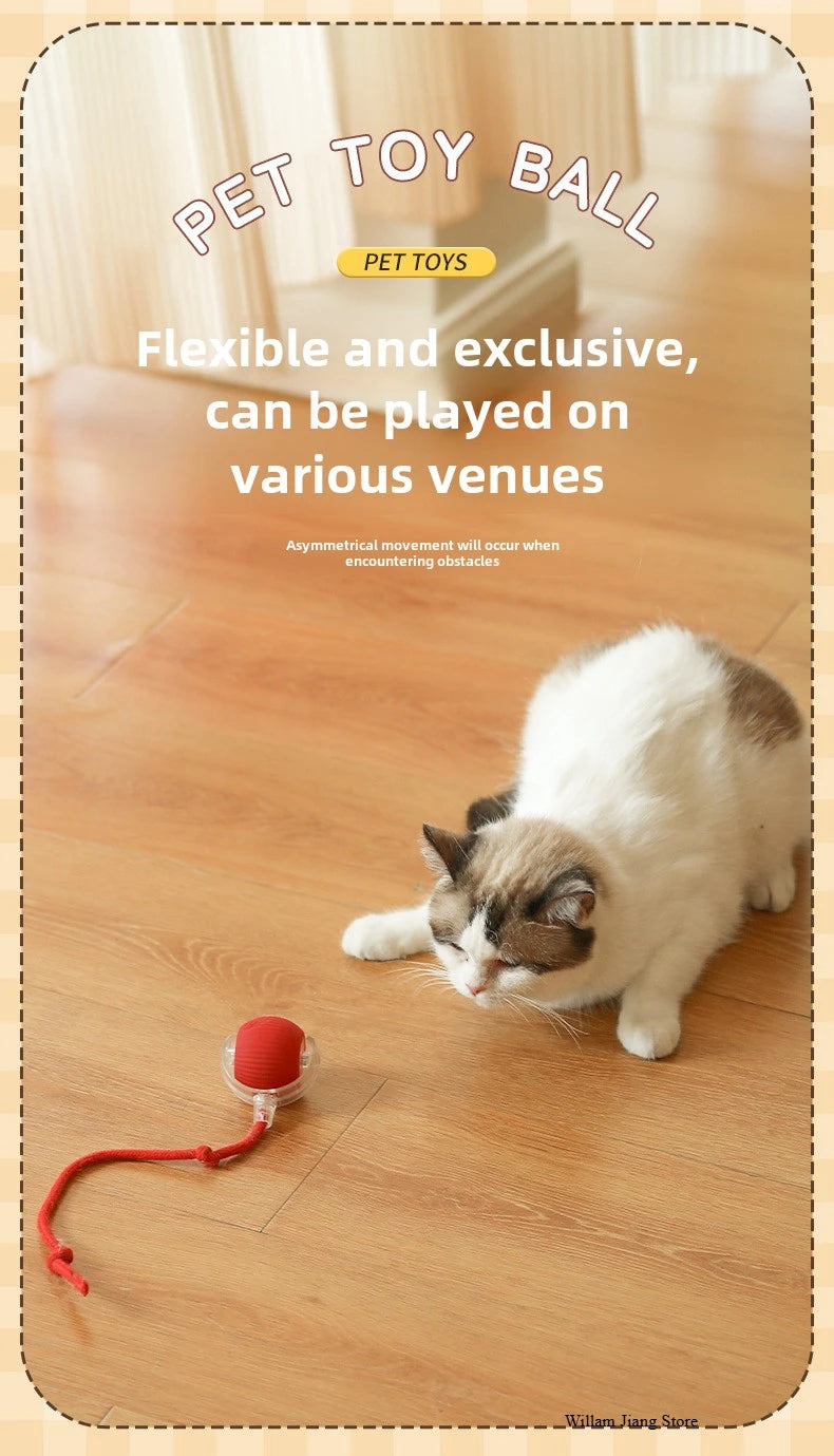 Rechargeable Smart Rolling Ball Toy – Automatic Interactive Electric Toy for Cats & Small Dogs with Simulated Tail