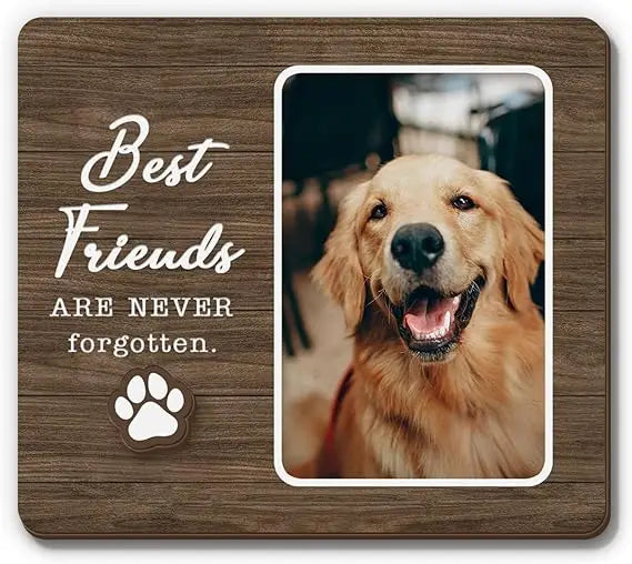 Magnetic Pet Memorial Picture Frame – "Best Friends Are Never Forgotten" Sympathy Gift for Dog & Cat Loss