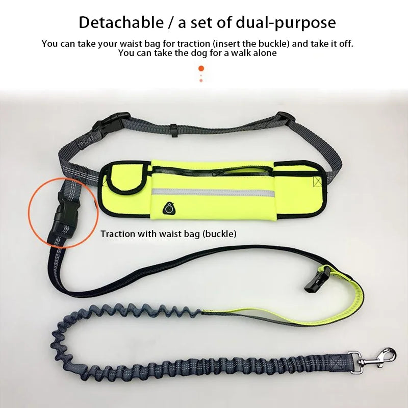 Hands-Free Dog Leash with Running Belt – Adjustable, Reflective, Multi-Functional Jogging Leash Set for Active Dog Owners