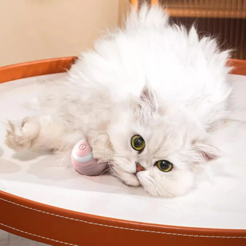 Automatic Rolling Cat Ball – Self-Moving Electric Toy for Kitten Play and Training
