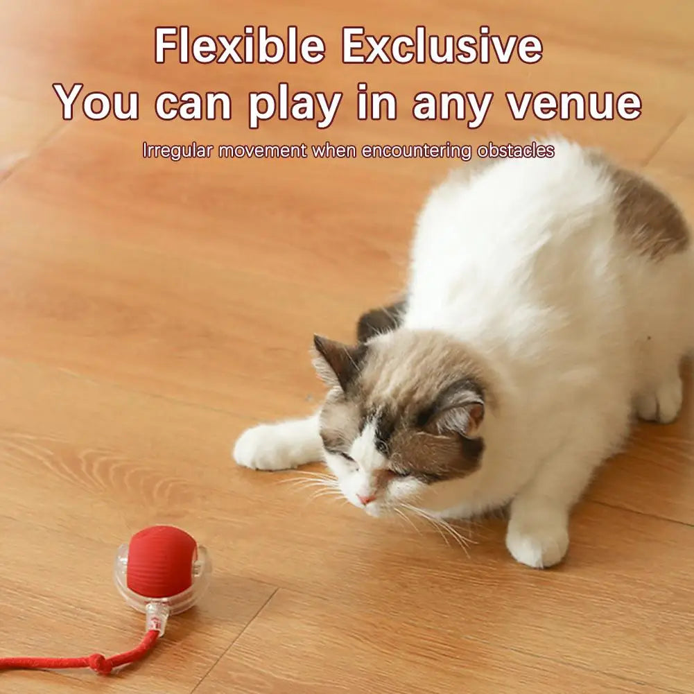 Rechargeable Automatic Cat Ball Toy – Smart Rolling Ball with Faux Tail for Interactive Play