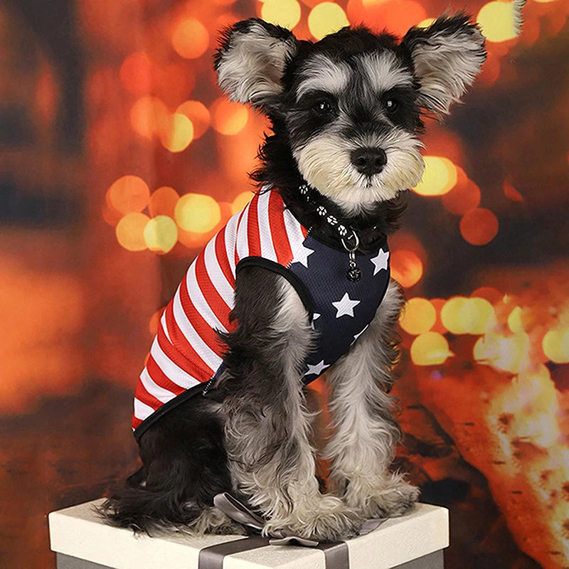 American Flag Pet T-Shirt ā Patriotic Tee for Dogs & Cats, All Sizes