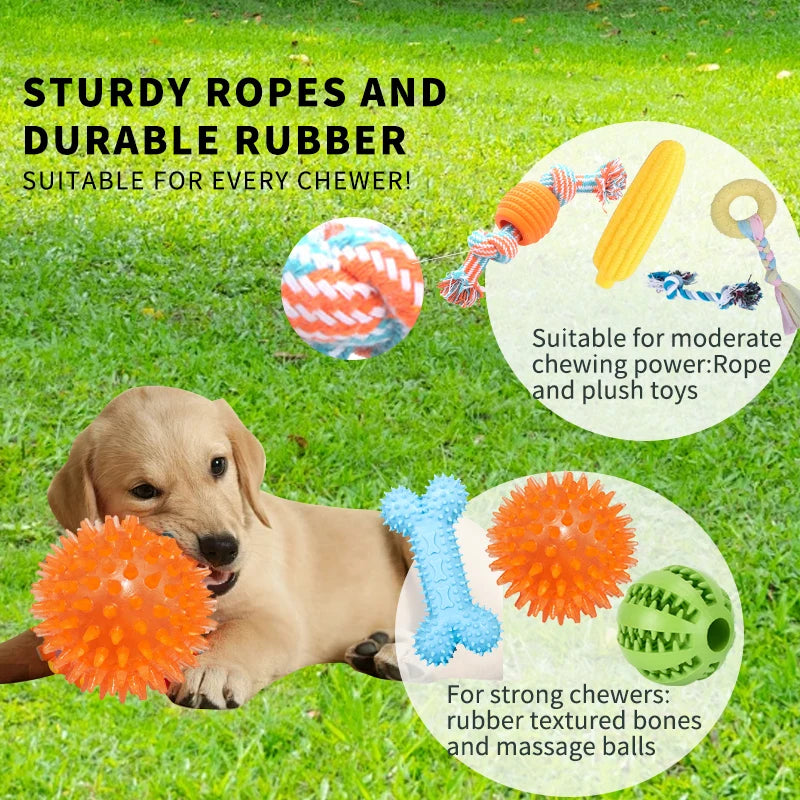 18-Piece Dog Toy Pack – Squeakers, Balance Bikes, Ropes & Interactive Toys with Food Dispensers for Training, Chewing & Mental Stimulation