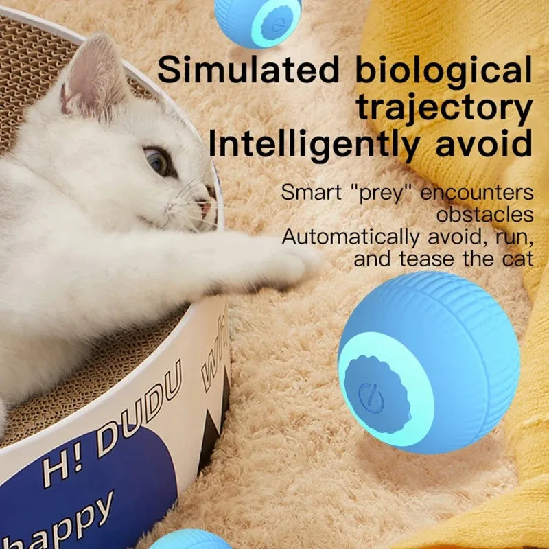 Automatic Rolling Cat Toy Ball – Self-Moving Electric Ball for Kitten Training & Play
