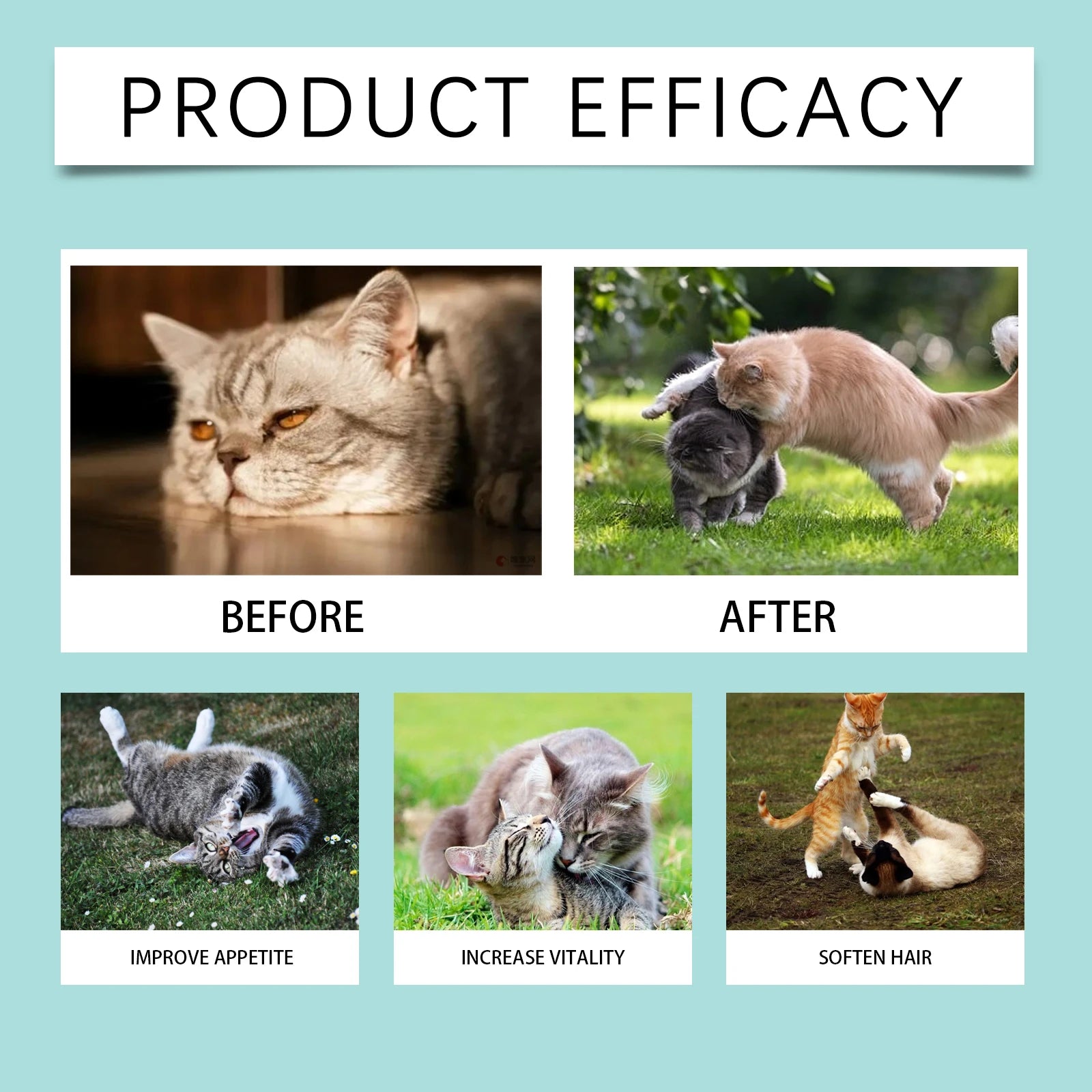 Yegbong Cat Probiotic Tablets – Digestive Health & Nutritional Support Supplement for Cats | Promotes Gut Balance, Absorption & Overall Wellness