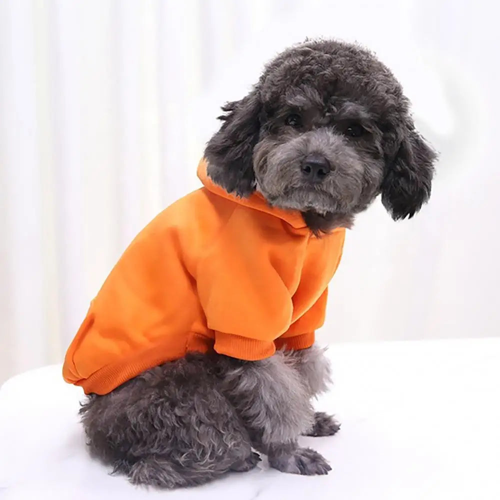 Puppy Pet Hooded Sweatshirt – Two-Legged Autumn/Winter Outfit with Pocket for Cats & Dogs