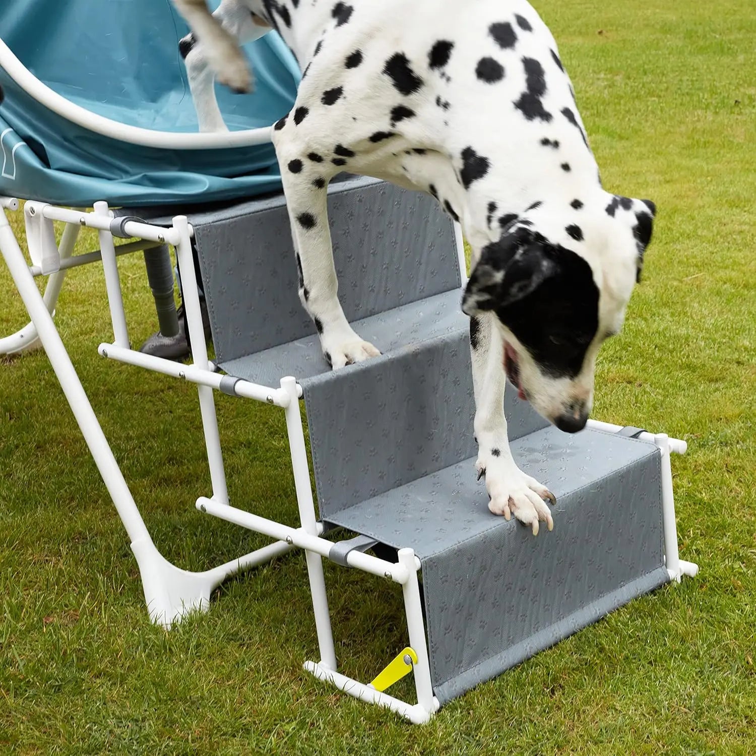 Big Dipper Elevated Dog Bath Tub with Stairs – Foldable Wash & Grooming Station