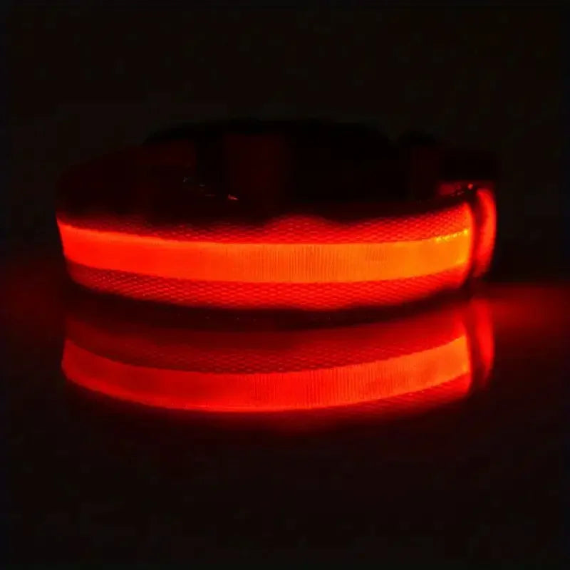 LED Dog Leash & Collar – Nylon Glow-in-the-Dark Safety Set for Night Walks