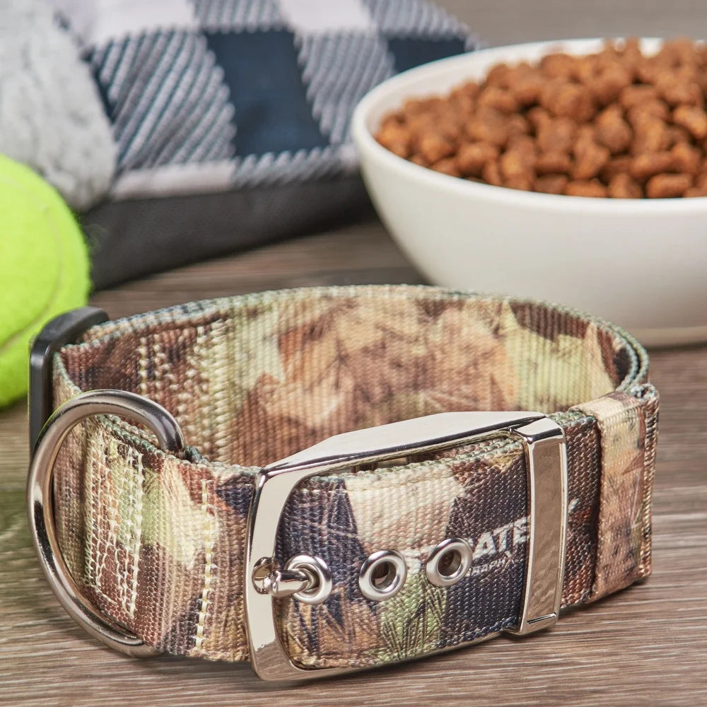 Extra Large Dog Collar – Adjustable, Comfortable with Metal Buckle & D-Ring Leash Attachment