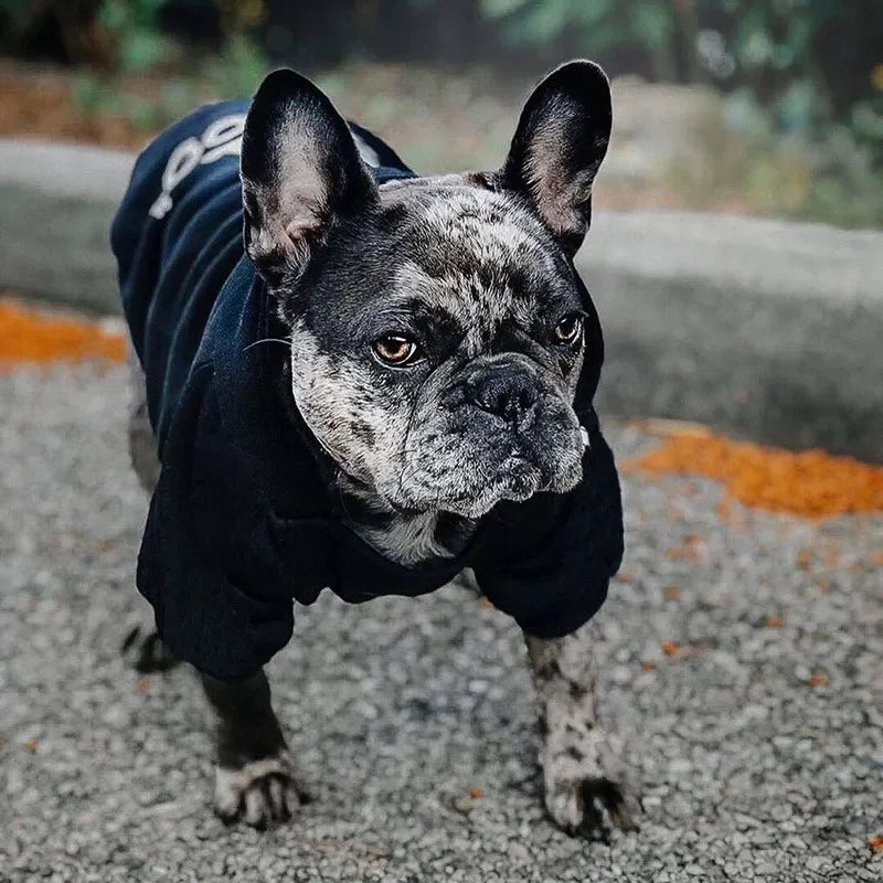 Pet Dog Hoodie – Autumn/Winter Sweatshirt for Large Dogs with “Dog Face” Text Pattern