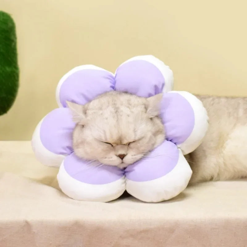 1Pc Soft Cotton Cat Recovery Cone – Adjustable E-Collar for Cats & Small Dogs