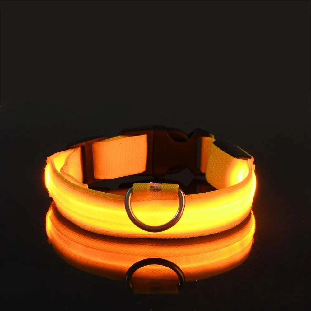 LED Dog Leash & Collar – Nylon Glow-in-the-Dark Safety Set for Night Walks