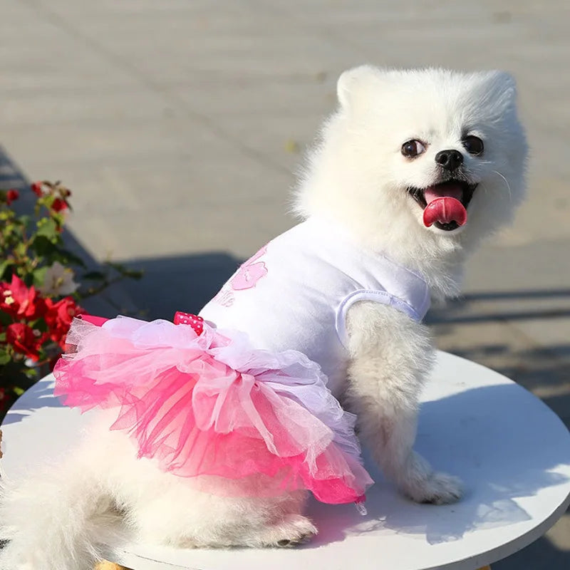 Princess Dog Dress – Lace Tutu Outfit for Small Dogs, Chihuahua & Puppy Apparel