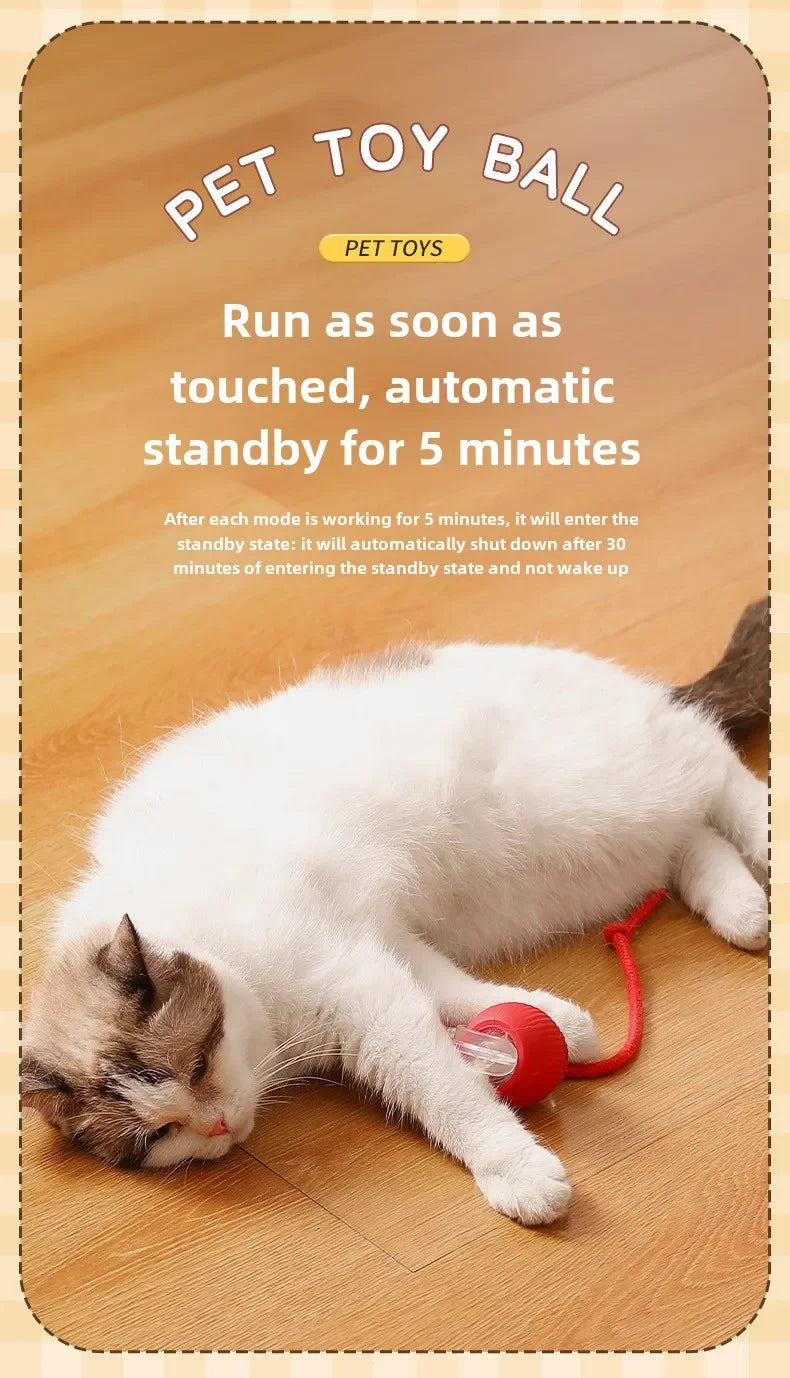 Rechargeable Smart Rolling Ball Toy – Automatic Interactive Electric Toy for Cats & Small Dogs with Simulated Tail