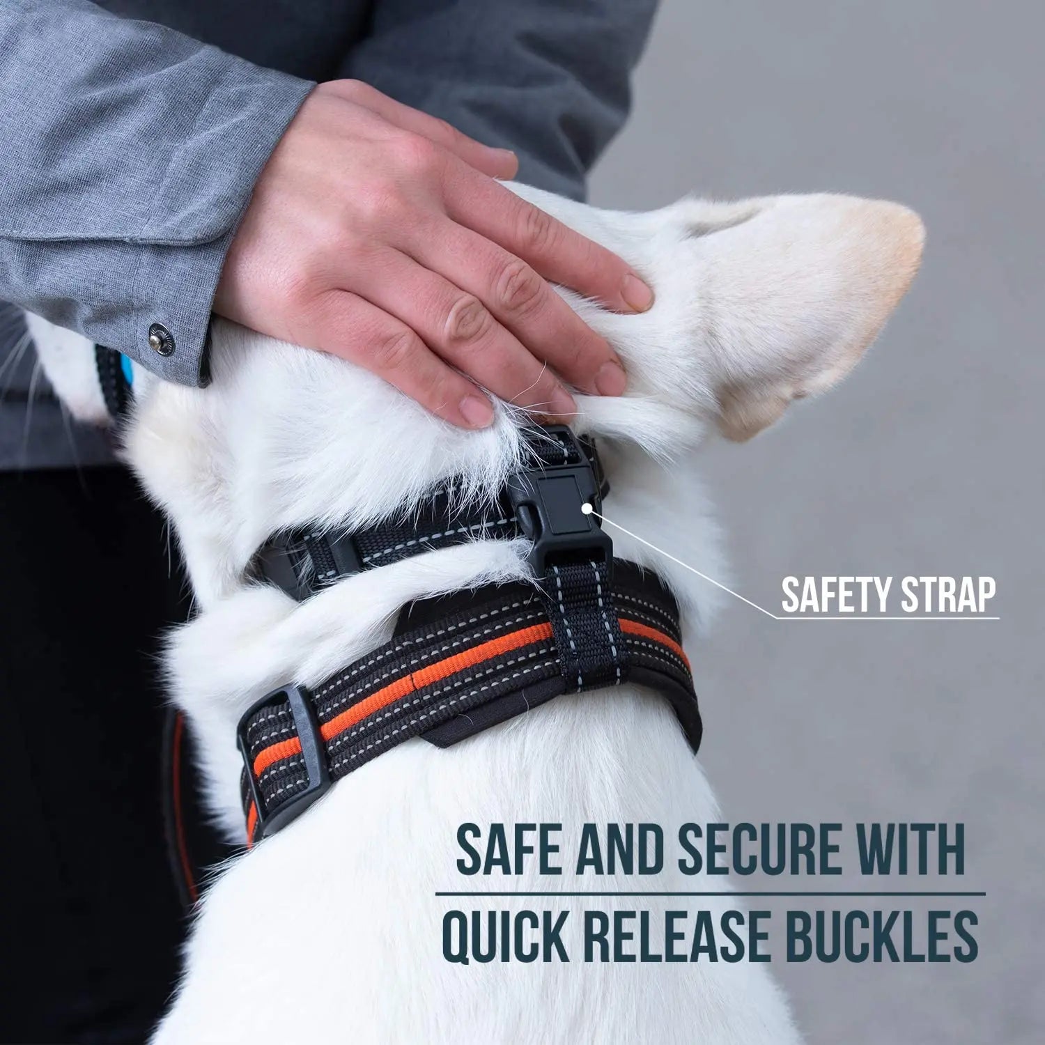 Breathable Nylon Dog Muzzle – Anti-Bark & Training Collar with Reflective Strips