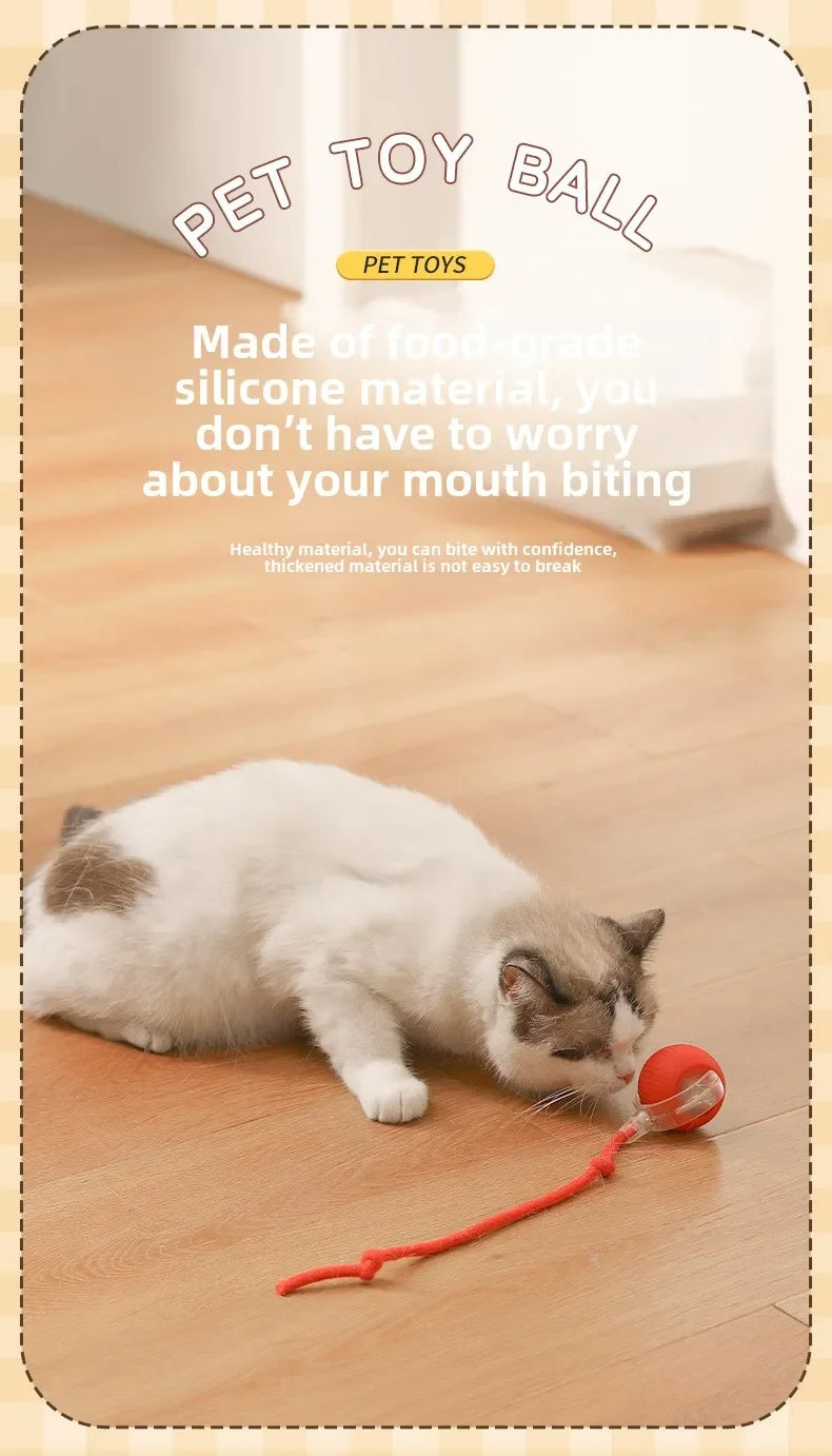 Rechargeable Smart Rolling Ball Toy – Automatic Interactive Electric Toy for Cats & Small Dogs with Simulated Tail
