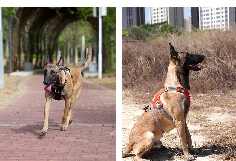 TRUELOVE Escape-Proof Tactical Dog Harness – Training Vest with Zipper Pocket & Control Handle