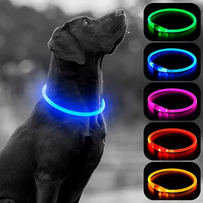 USB Charging LED Luminous Dog Collar – Adjustable Flashing Safety Light Necklace for Dogs & Cats