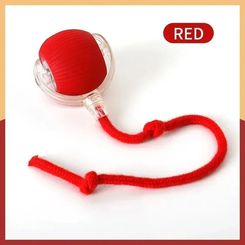 Smart Electronic Interactive Pet Toy Ball – USB Rechargeable Moving, Jumping & Bouncing Ball for Dogs & Cats