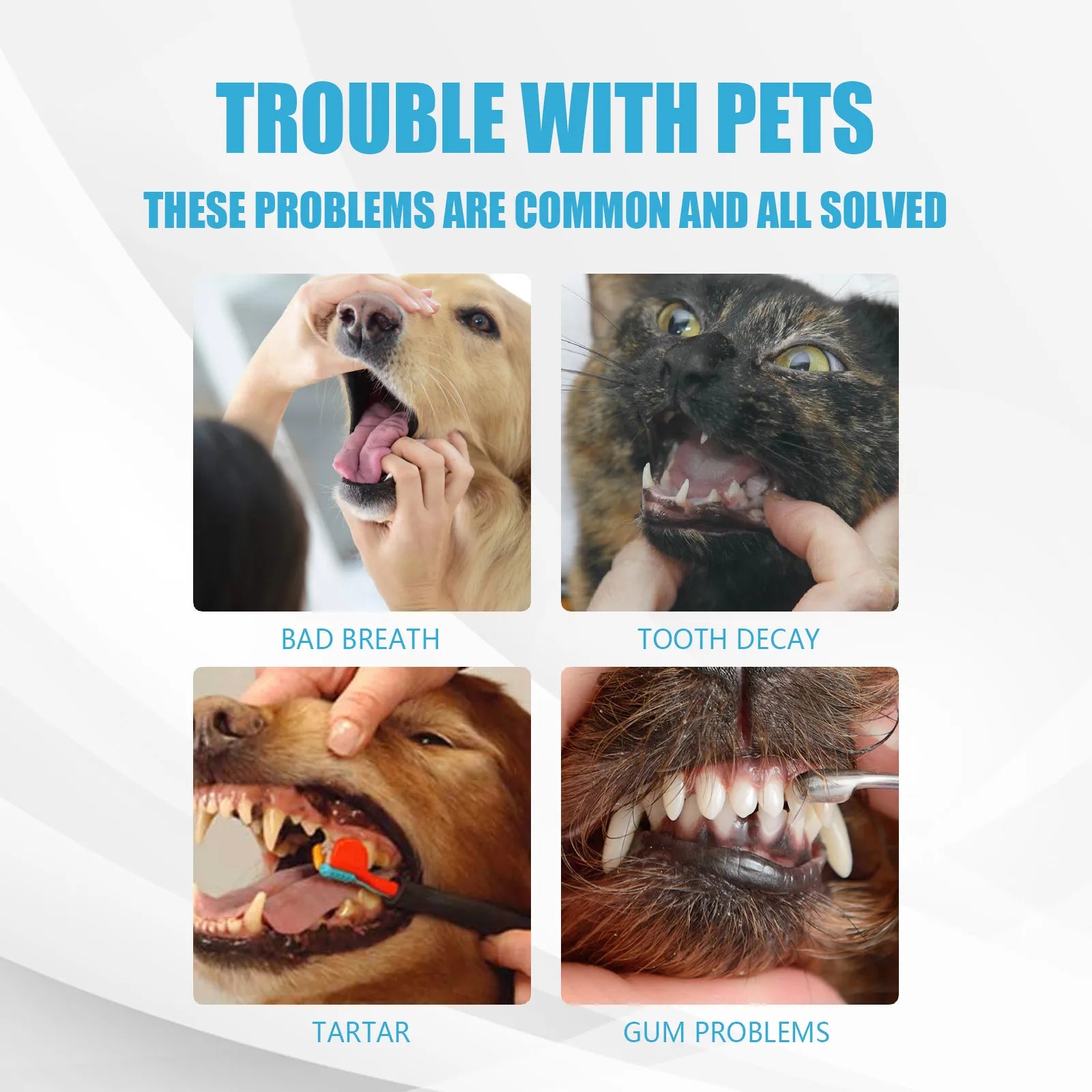 Pet Toothpaste for Dogs & Cats – Fresh Breath and Tartar Control