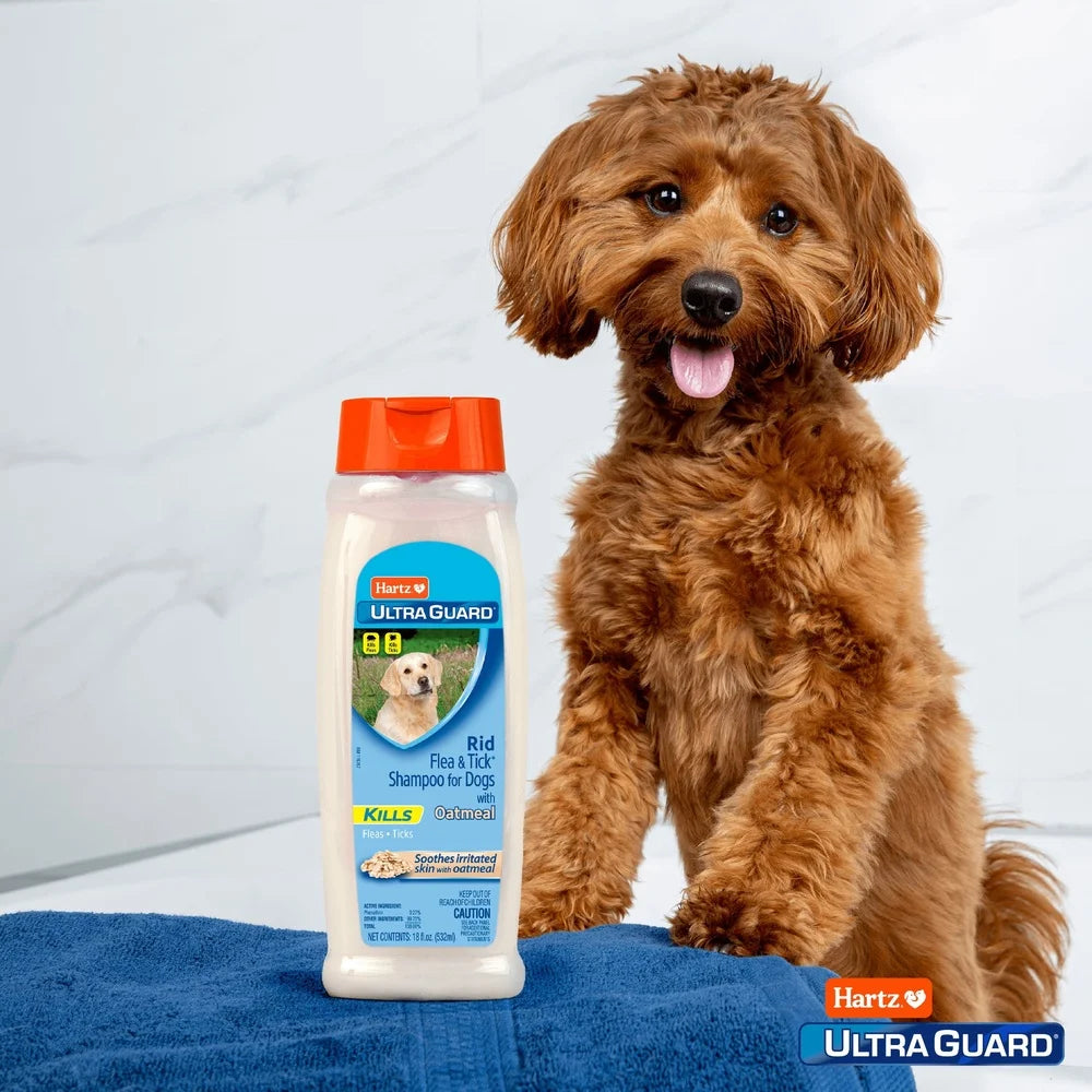 UltraGuard Flea & Tick Oatmeal Shampoo for Dogs – 3 Pack, 18oz Bottles, Fast-Acting Cleanser with Vanilla Scent & Skin Soothing
