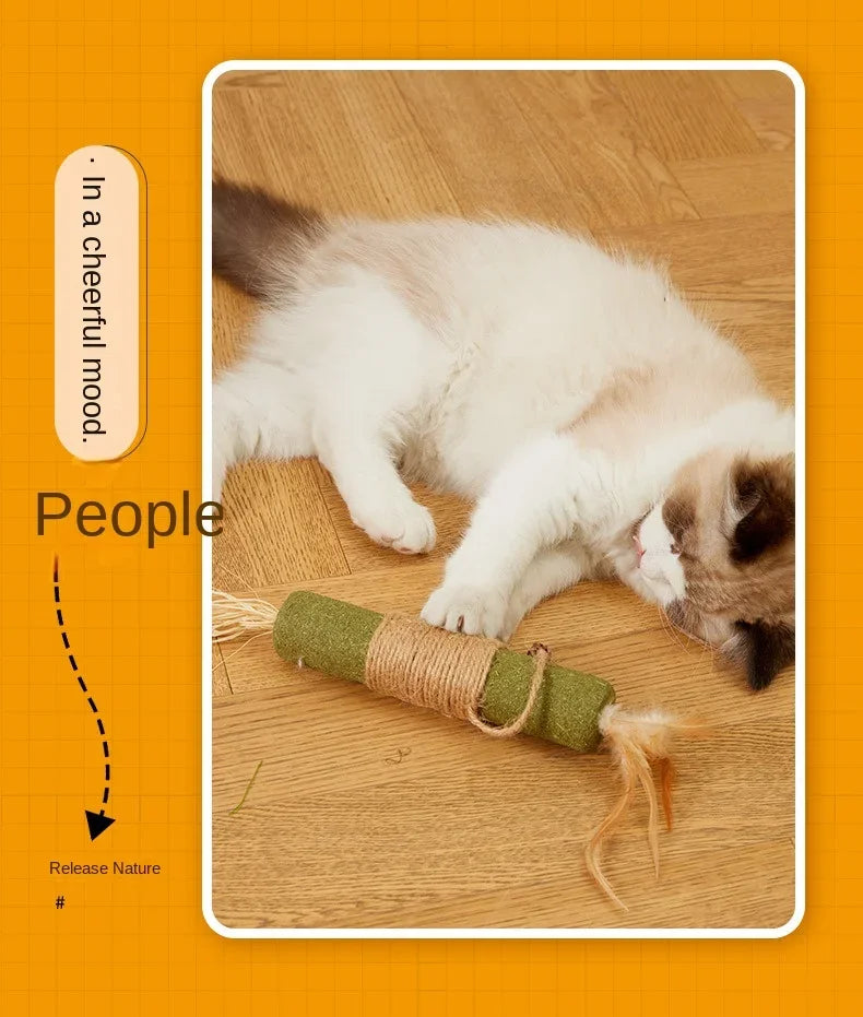 Silvervine Chew Sticks for Cats – Natural Catnip Dental Toy, Teeth Cleaning & Chewing Treats for Kittens & Adult Cats