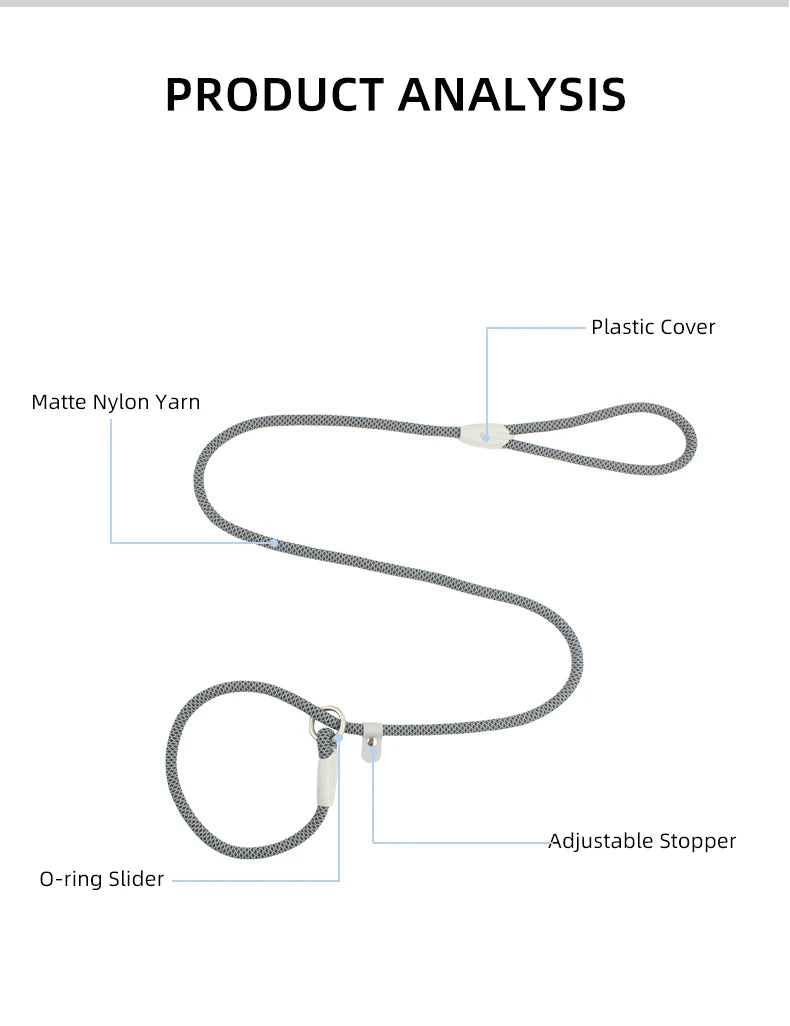2-in-1 Classic Dog Collar and Leash Set – Adjustable Black Mesh P Rope Nylon Training Harness with Slip Strap