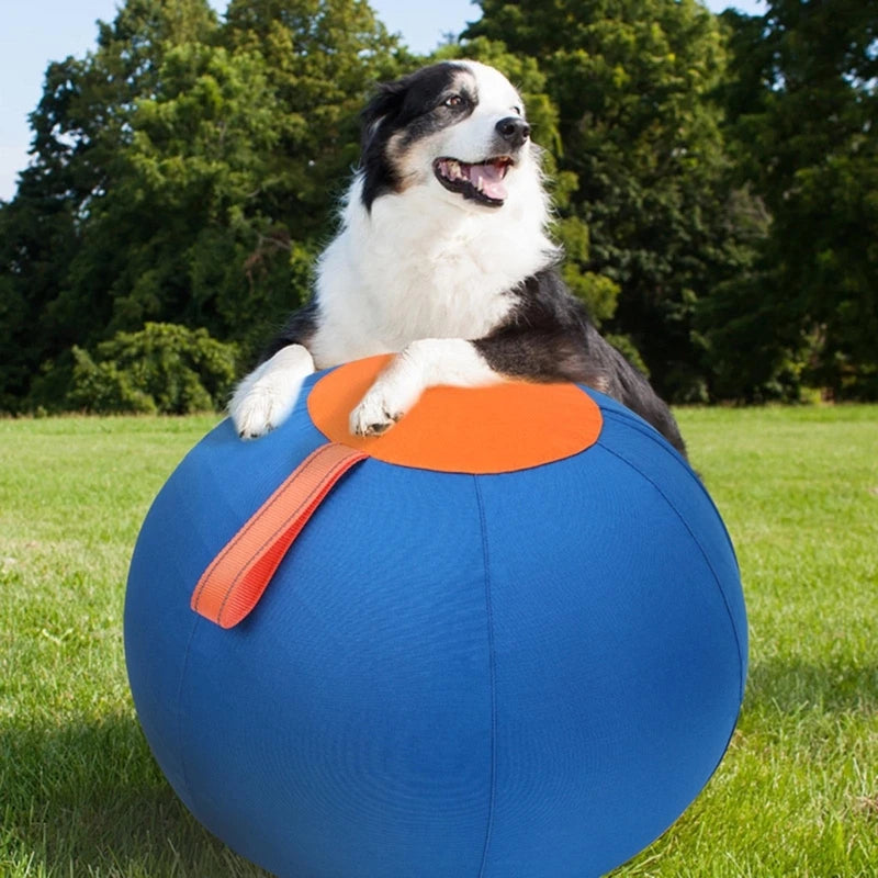 Pet Herding Ball – Interactive Training & Exercise Toy for Dogs