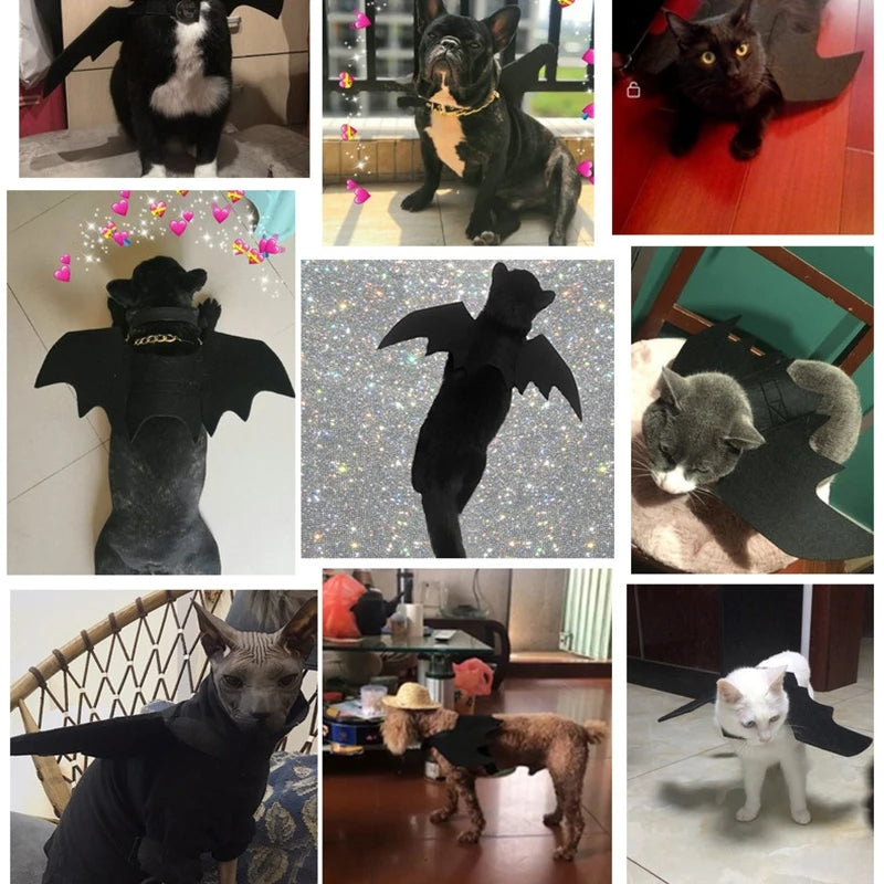 Pet Bat Collar – Halloween Costume Accessory for Dogs & Cats