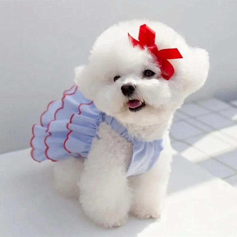 Dog Princess Dress – Cute Skirt Apparel for Chihuahuas, Teddy Dogs