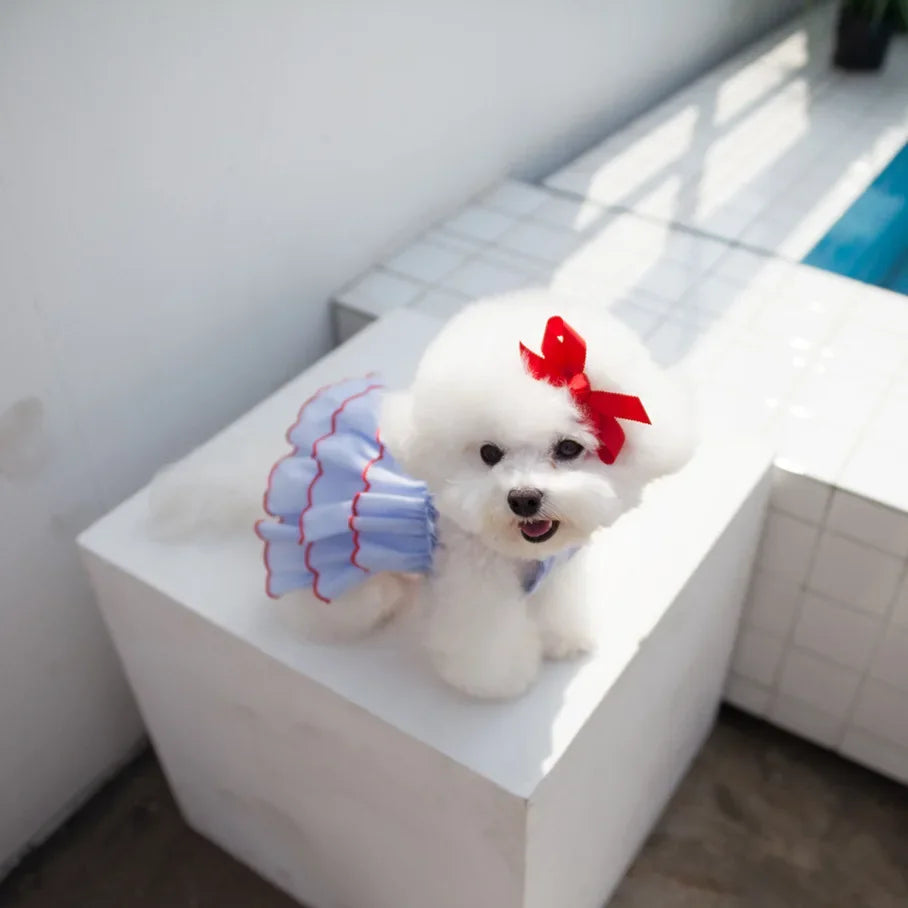 Dog Princess Dress – Cute Skirt Apparel for Chihuahuas, Teddy Dogs
