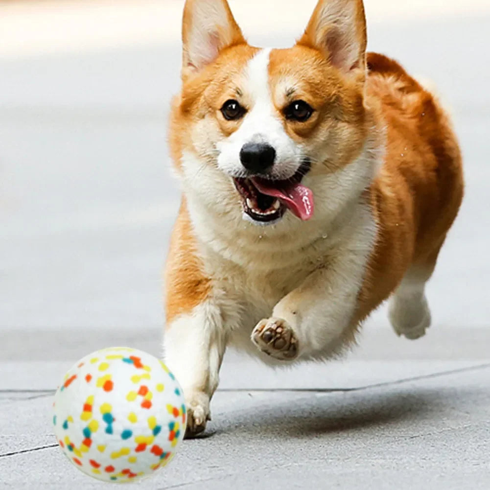 EPTU Rubber Dog Ball – High Elastic Bite-Resistant Chew & Fetch Toy, Interactive Flying Ball for Dogs