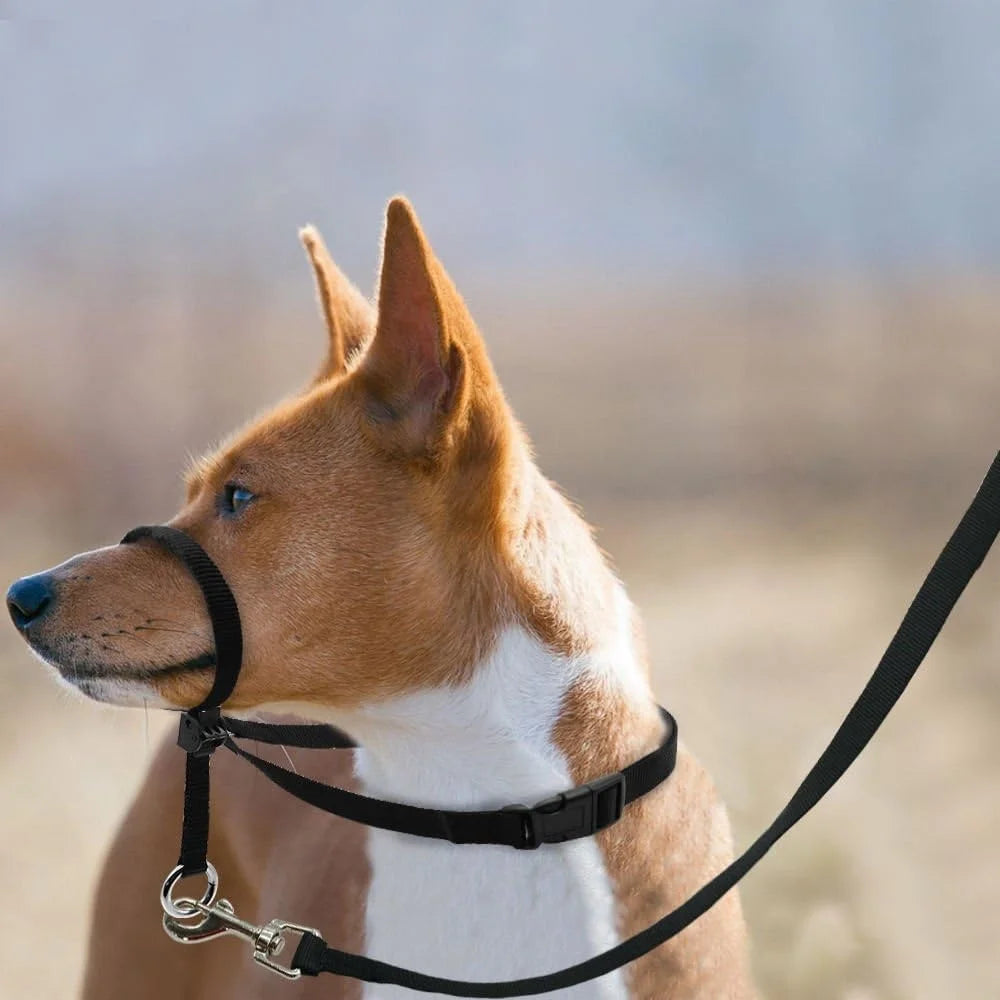 Adjustable Dog Head Collar – Gentle Head Halter for Pull Control with Leash & Training Guide