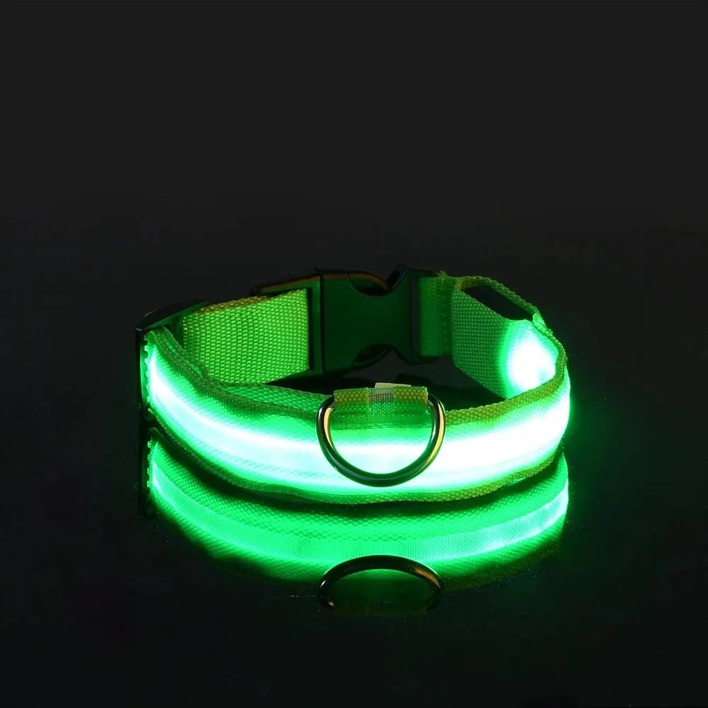 LED Dog Leash & Collar – Nylon Glow-in-the-Dark Safety Set for Night Walks