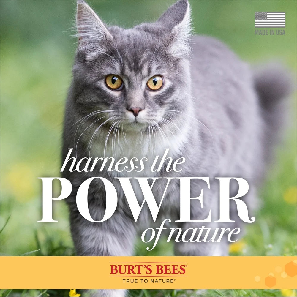 Natural Waterless Dry Shampoo for Cats & Kittens – Shea Butter & Honey Grooming Spray, pH Balanced Gentle Cleanser