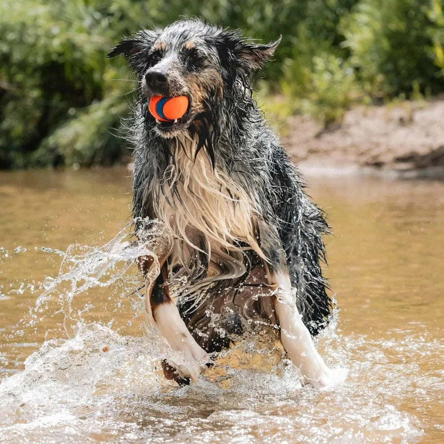Ultra Ball Dog Toy – Large (3" Diameter) for 60–100 lb Dogs – Super Bouncy, Durable Rubber, Floats in Water – Pack of 1