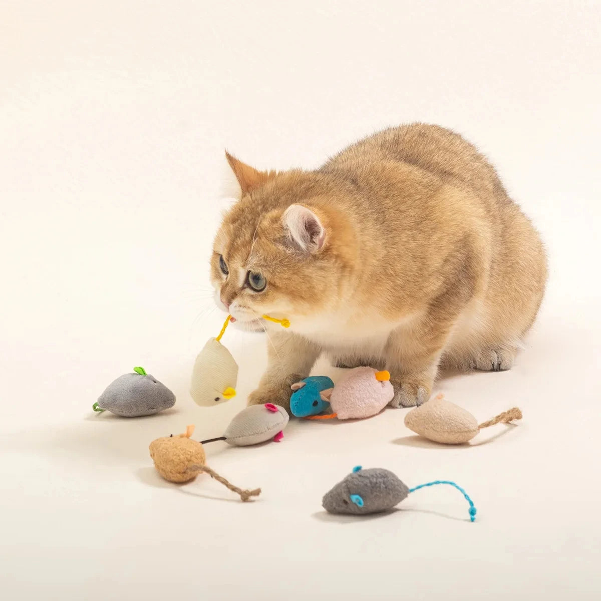 8-Pack Simulated Mouse Cat Toys – Interactive Catnip Toys for Indoor Cats and Kittens