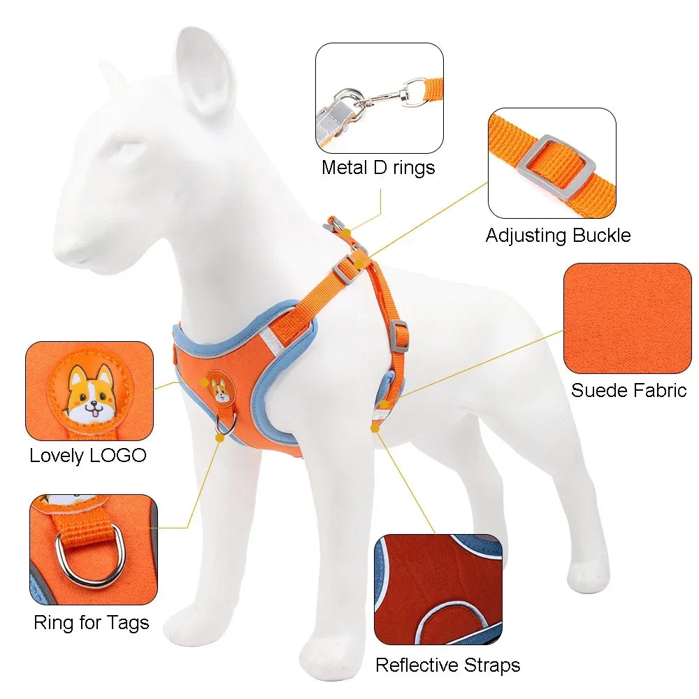 No Pull Dog Harness and Leash Set – Adjustable Reflective Puppy & Cat Vest for Small Dogs, Chihuahuas
