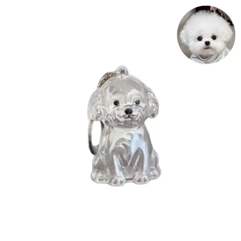 Cute Dog Hair Storage Keychain Transparent Pet Fur Keepsake Capsule Bag Pendant Decor Souvenir Collection Gift Memorial Jewelry