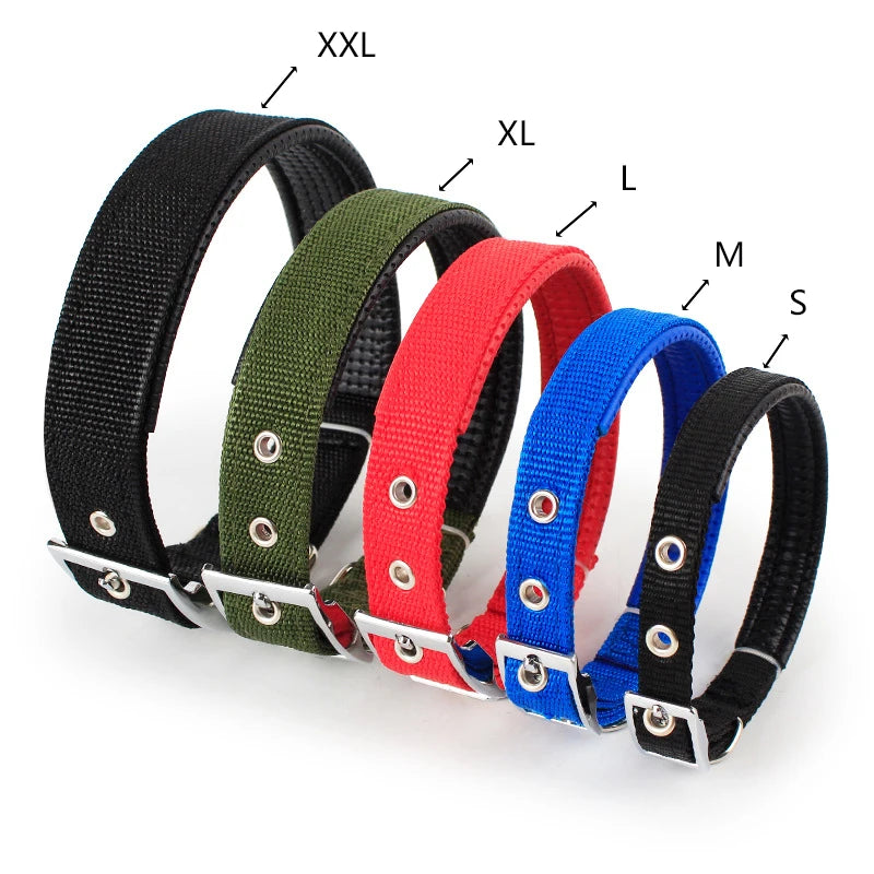 Solid Nylon Dog Collar – Adjustable Everyday Collar for Small, Medium & Large Dogs