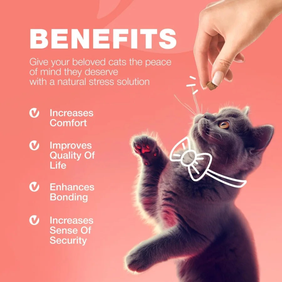 Daily Flea & Tick Treatment Chews for Cats – Soft Oral Treats for All Breeds