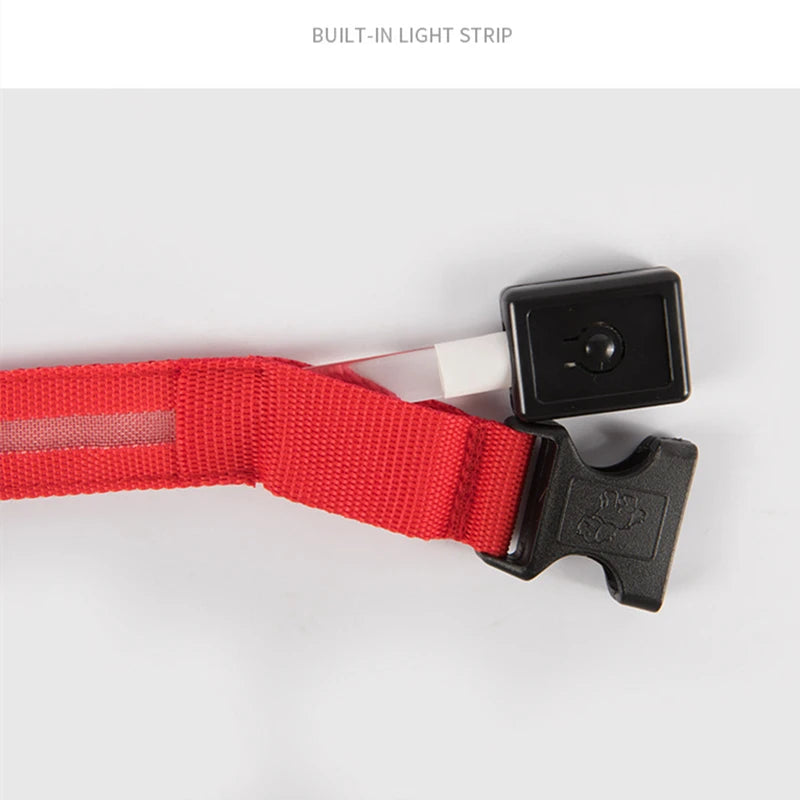LED Luminous Dog Collar – Adjustable USB Rechargeable Glowing Pet Collar, Anti-Lost & Safety Flashing Light