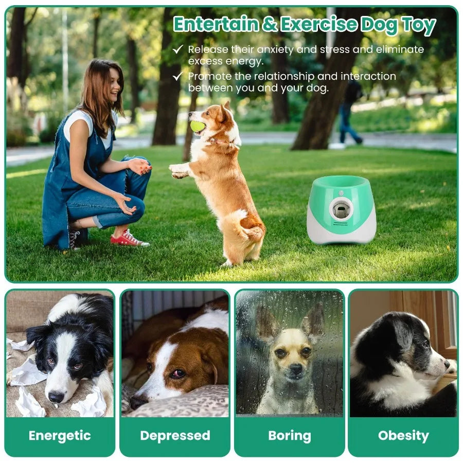 Interactive Pet Tennis Ball Launcher – Food Reward Machine & Training Toy for Dogs and Cat