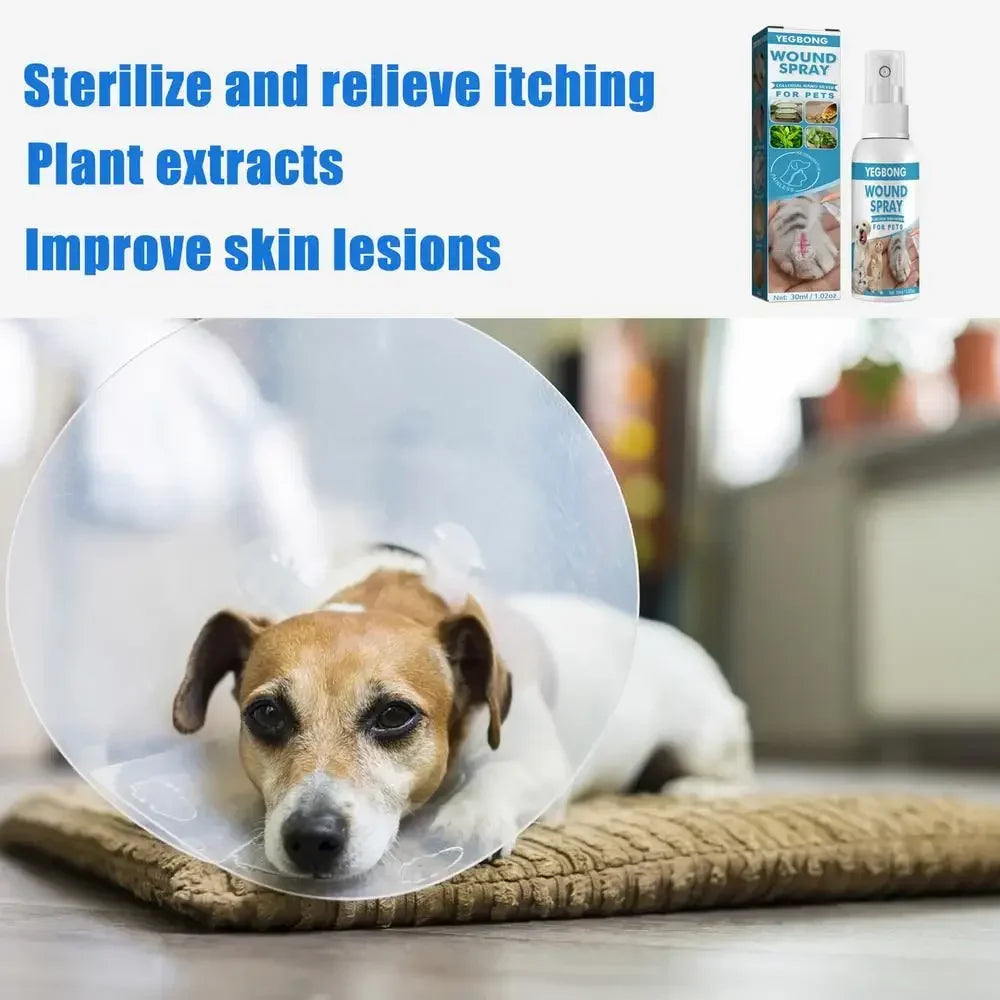 30ml Anti-Itch Spray for Dogs & Cats – Soothing Skin Relief for Itchy & Sensitive Skin
