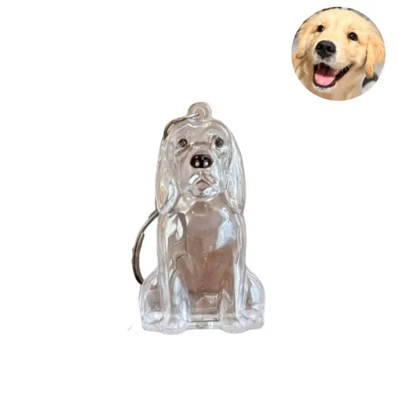Cute Dog Hair Storage Keychain Transparent Pet Fur Keepsake Capsule Bag Pendant Decor Souvenir Collection Gift Memorial Jewelry