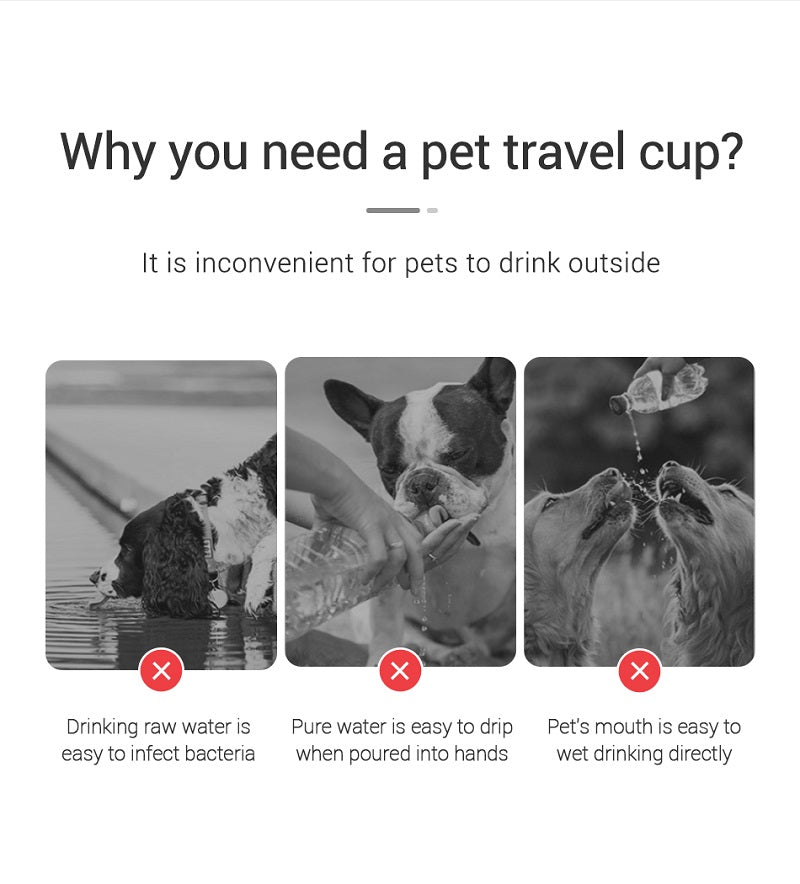 Portable Dog Water Bottle – Leakproof Travel Pet Dispenser for Dogs & Cats