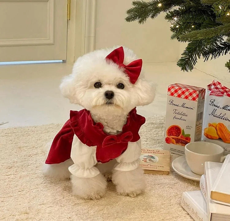 Winter Puppy Princess Dress – Warm Bow Knot Dog Dress Set with Hair Clip