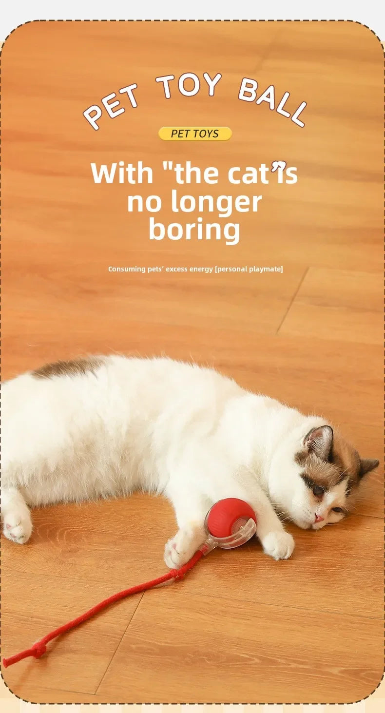Rechargeable Smart Rolling Ball Toy – Automatic Interactive Electric Toy for Cats & Small Dogs with Simulated Tail